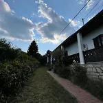 Main Road Seven Fuzerradvany